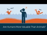 Os seres humanos tem mais valor que os animais?