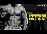 Sobre o aumento da produção natural de testosterona