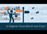 Os alimentos orgânicos valem seu custo?