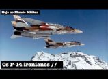 Hoje no Mundo Militar – Os F-14 iranianos